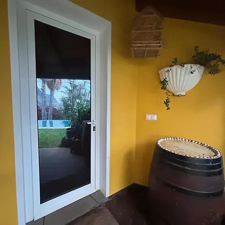 Accommodatie bij particulieren Bela Vigia 3 Jardim do Mar